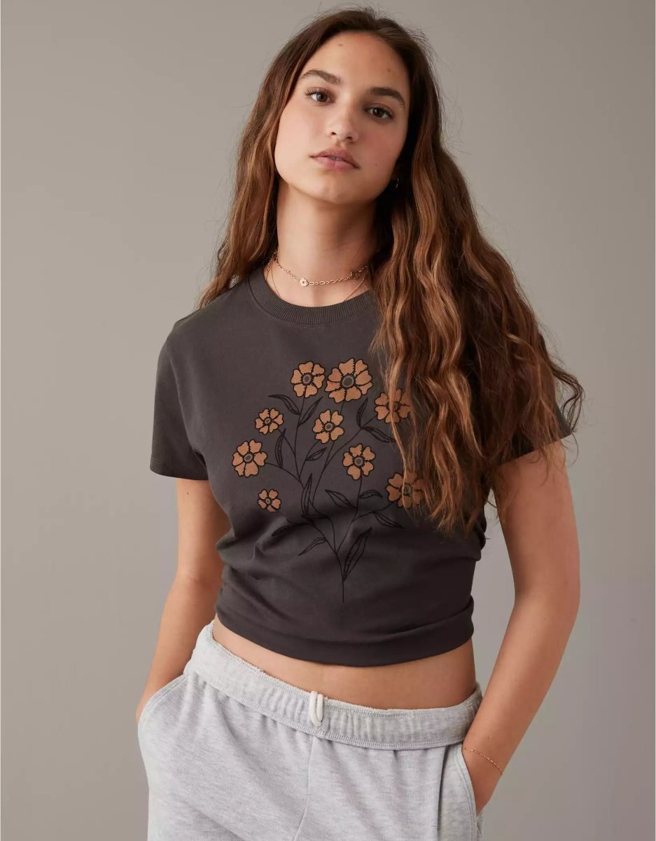 T Shirts American Eagle AE Graphique Tee Grise Femme | QJK-77555003